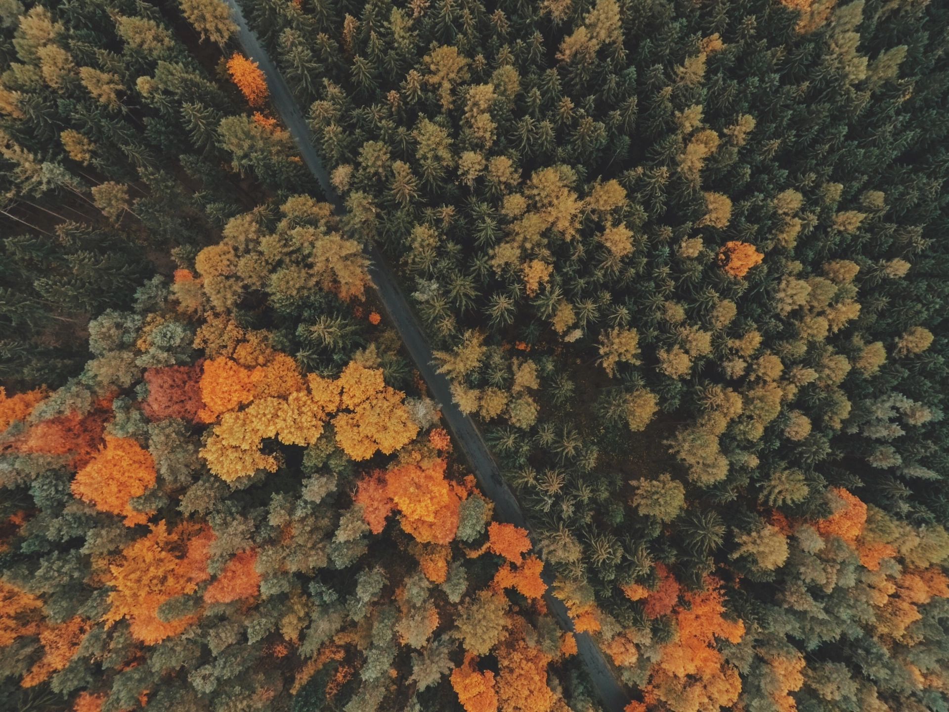 seasons